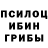 Псилоцибиновые грибы Psilocybe The Krason